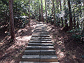 itinomiya12_thumb.png