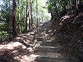 itinomiya14_thumb.png
