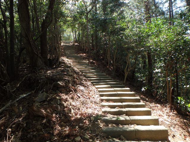 itinomiya16.jpg