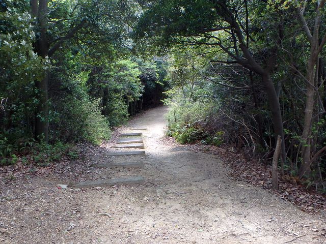 itinomiya18.jpg