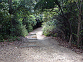 itinomiya18_thumb.png