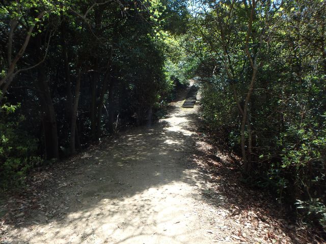 itinomiya19.jpg