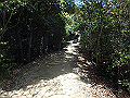 itinomiya19_thumb.png