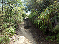 itinomiya22_thumb.png