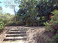 itinomiya23_thumb.png