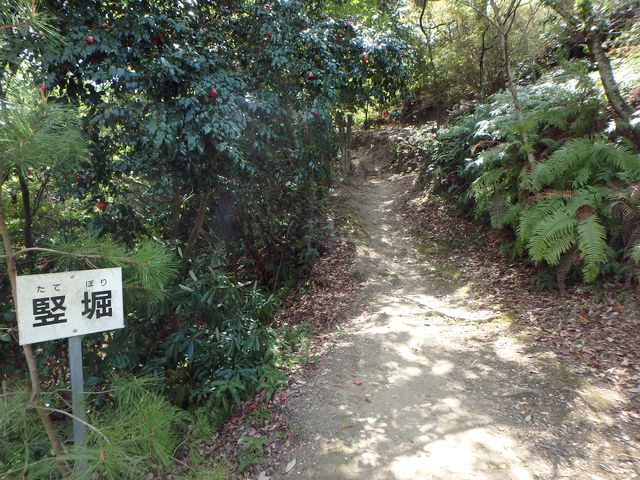 itinomiya27.jpg