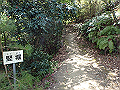 itinomiya27_thumb.png