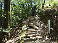 itinomiya28_thumb.png