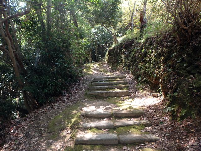 itinomiya29.jpg