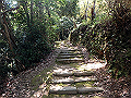 itinomiya29_thumb.png
