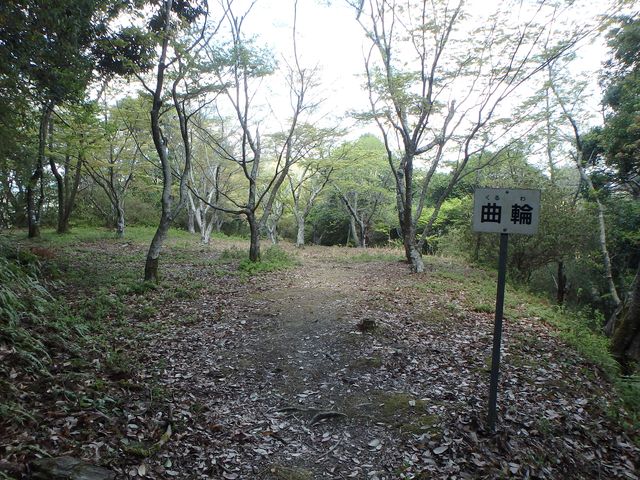 itinomiya30.jpg