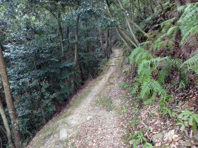 itinomiya31.jpg