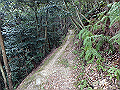 itinomiya31_thumb.png