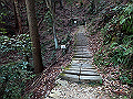 itinomiya32_thumb.png
