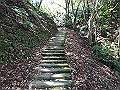 itinomiya35_thumb.png