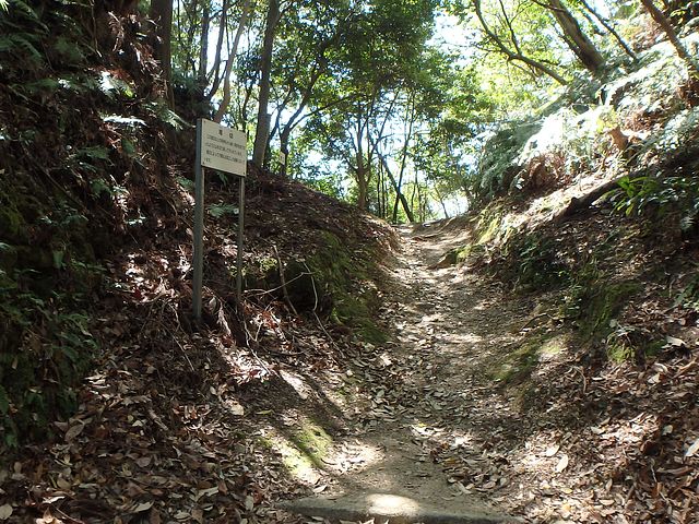 itinomiya36.jpg