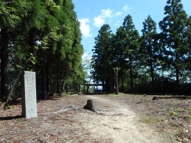 itinomiya38.jpg