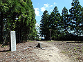 itinomiya38_thumb.png
