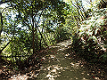 itinomiya41_thumb.png
