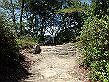 itinomiya43_thumb.png