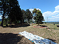 itinomiya54_thumb.png