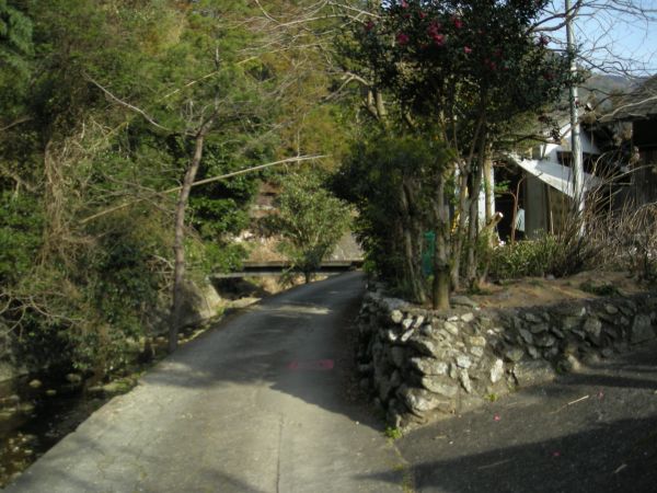 naka11.jpg