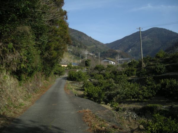 naka13.jpg