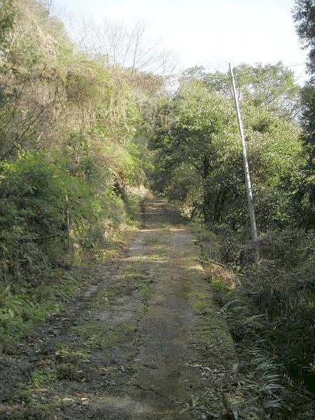 naka19.jpg