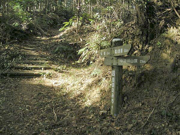 naka40.jpg