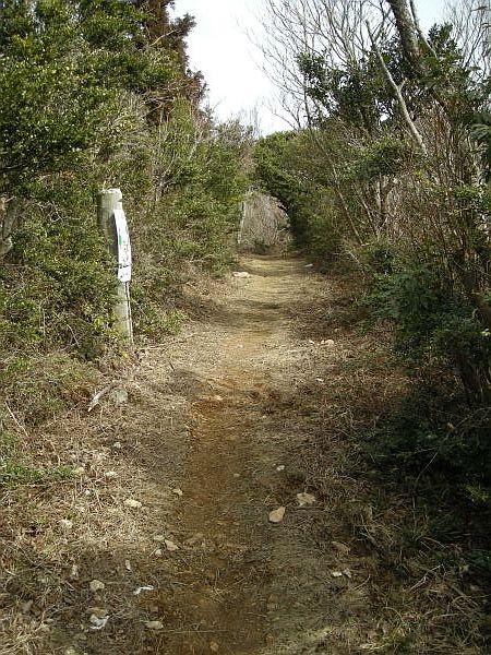 naka71.jpg