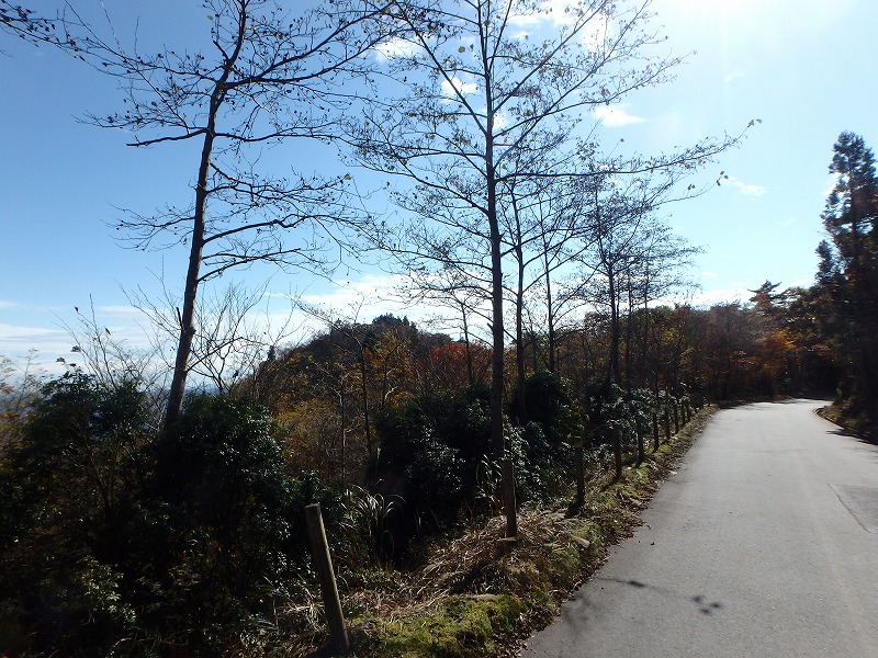 nantaka06.jpg