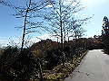 nantaka06_thumb.png