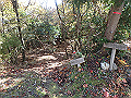 nantaka09_thumb.png