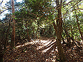 nantaka10_thumb.png