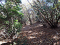 nantaka11_thumb.png