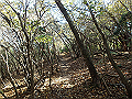 nantaka12_thumb.png