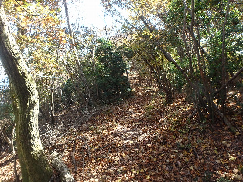 nantaka13.jpg
