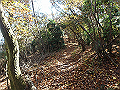 nantaka13_thumb.png
