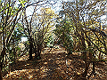 nantaka14_thumb.png