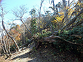 nantaka15_thumb.png