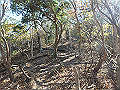 nantaka18_thumb.png