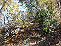 nantaka19_thumb.png