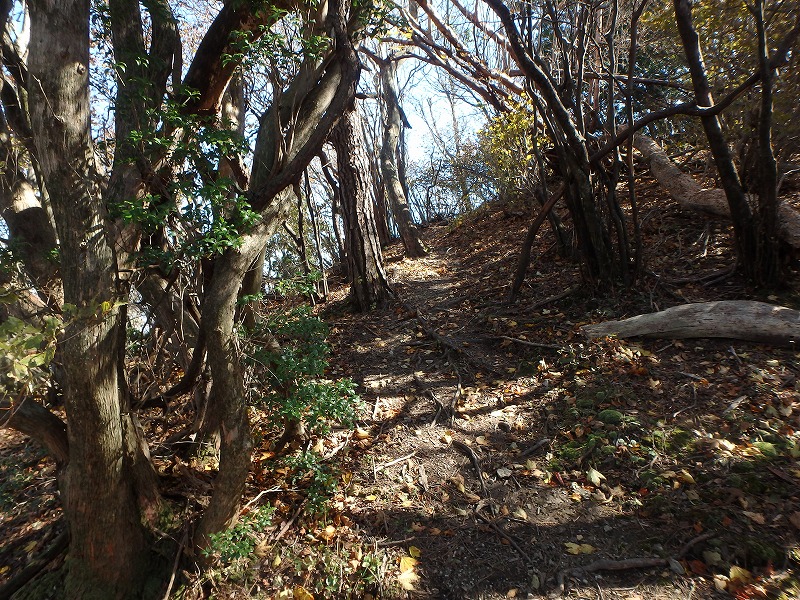 nantaka21.jpg