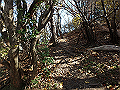 nantaka21_thumb.png