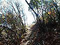 nantaka22_thumb.png