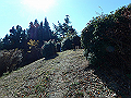 nantaka23_thumb.png