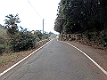 nktmn002_thumb.png