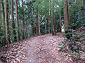 nktmn013_thumb.png
