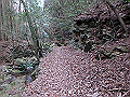 nktmn024_thumb.png
