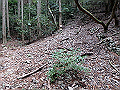 nktmn030_thumb.png